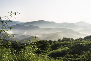 走马岭风光