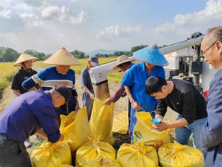 “省级指挥田”让桐城提升粮油产能有了“火车头”