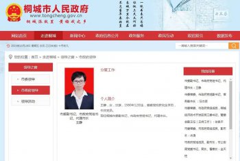 王静任桐城市委副书记，市政府党组书记、代理市长