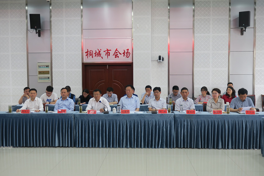 4省委指导组来桐.JPG