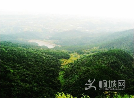 桐城栲栳尖